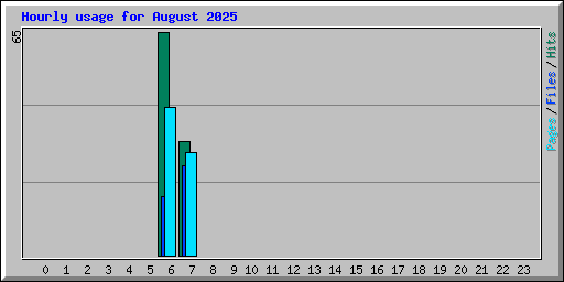 Hourly usage for August 2025